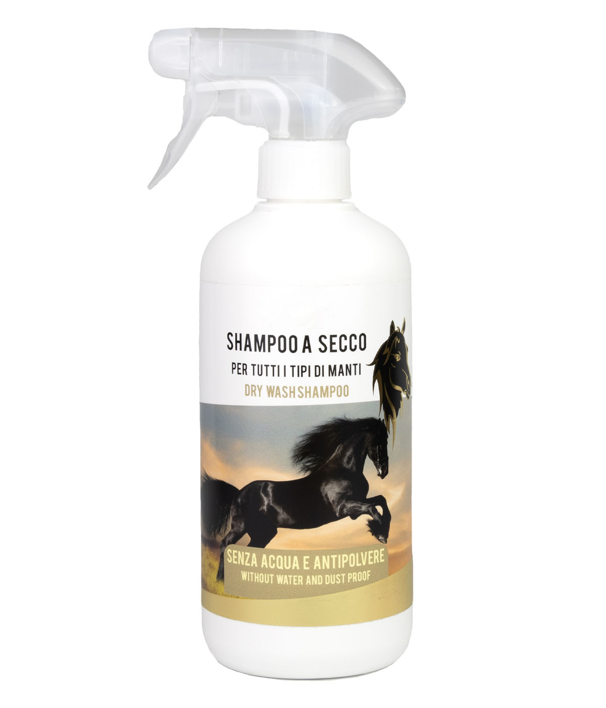 Shampoo a Secco