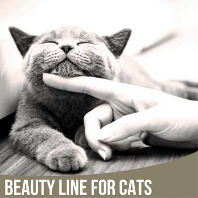 Beauty line for Cats